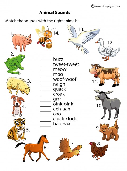 Animal Sounds Worksheet Animal Sounds Worksheet
